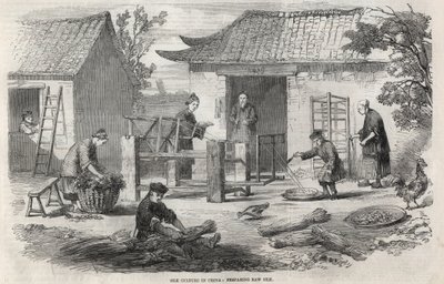 中国的丝绸生产和制造的各个阶段。 作者 未知艺术家