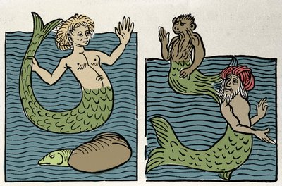 Sirene 或海洋处女、猴子和海土耳其人。 雕刻自“Hortus sanitatis” 作者 未知艺术家