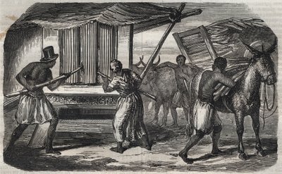 制糖业：西印度群岛的一家糖厂的甘蔗磨。1859年的雕版画。 作者 未知艺术家