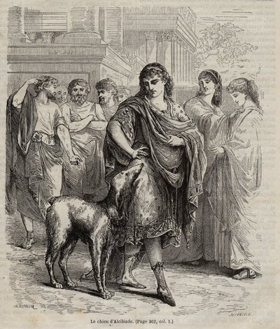 Alcibiades的狗--Alcibiades的狗政治家、演说家和将军雅典人，公元前450-404年，1864年的雕刻品。 作者 未知艺术家