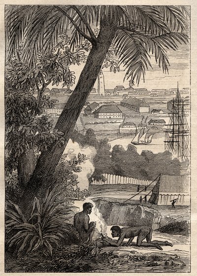 尼古拉-鲍丁（1754-1803）的《南部地区远征》（1800-1803）。悉尼（澳大利亚）的景色--来自 "18世纪伟大的航海家 "的插图 作者 未知艺术家