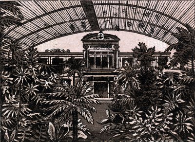德国法兰克福的棕榈园（德国法兰克福），载于《世界图解168景》，无日期（19世纪末）。 作者 未知艺术家