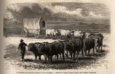 The big plains steer and its hitch. Engravure pour illustration le voyage au far west americain, by M. L. Simonin, in 1867, published in “Le tour du monde, nouveau journal des voyages””, edited by Edouard Charton 作者 未知艺术家