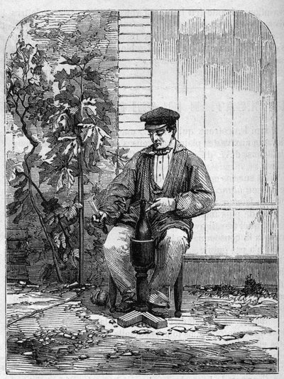 香槟酒的装瓶。1864年的雕版画。 作者 未知艺术家