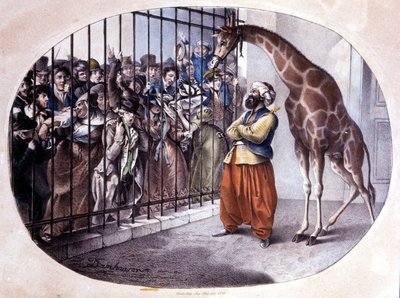 好奇的人群冲进门后看到一只长颈鹿。 丹哈伦的石版画。 1829 作者 未知艺术家