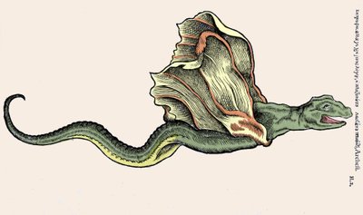 The flying dragon Amphiptere (Amphithere or Amphitere or Amphipthere) Engraving in Historia Animalium by Conrad Gesner (1516 - 1565), Tiguri 作者 未知艺术家