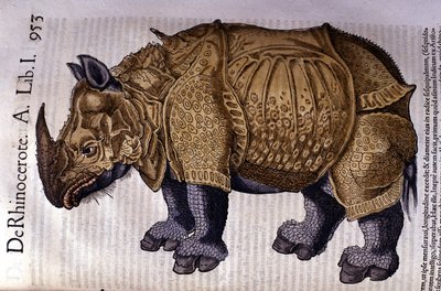 1560 年纽约康拉德·格斯纳 (Conrad Gesner) 的《动物史》之后的犀牛。 作者 未知艺术家