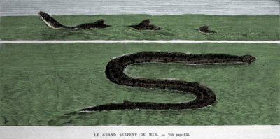 The sea snake observed in 1872 in the Meridional Atlantic. 作者 未知艺术家