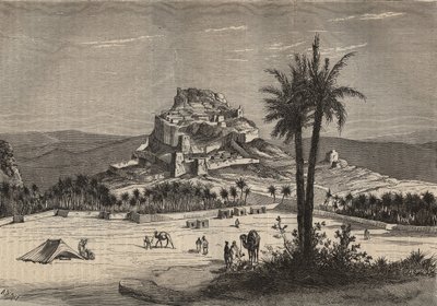 19世纪末阿尔及利亚奥兰省南部的Oued el Golea（El Menia或El Menea，原名El Golea）的景色--雕刻品 作者 未知艺术家