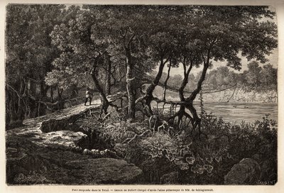 特莱（“湿地”）中的一座悬索桥，这片沼泽草甸区域构成了喜马拉雅山的底部，在印度边境以南与尼泊尔接壤。 Schlagintweit 的兄弟雕刻以说明 1854 年至 1857 年对上亚洲的探索， 作者 未知艺术家