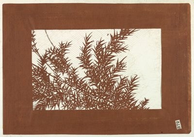 竹子 作者 未知艺术家
