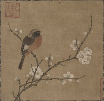 花枝上的鸟 作者 未知艺术家