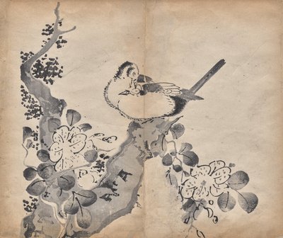 花与鸟 作者 未知艺术家