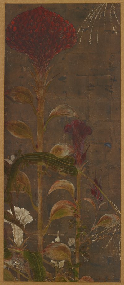 牛蒡、玉米和牵牛花 作者 未知艺术家