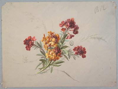 壁纸和纺织品的设计：花卉 作者 未知艺术家