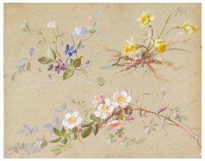 壁纸和纺织品设计：花卉 作者 未知艺术家