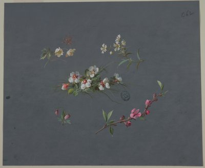 壁纸和纺织品设计：花卉 作者 未知艺术家