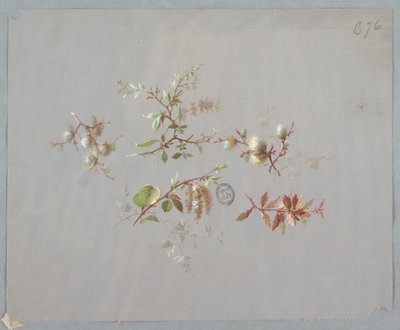 壁纸和纺织品设计：花卉 作者 未知艺术家