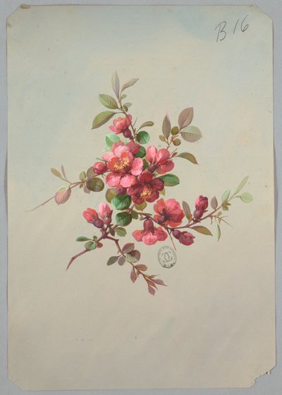 壁纸和纺织品设计：花卉 作者 未知艺术家