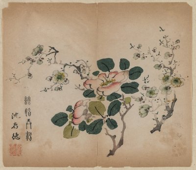 开花的梅花 作者 未知艺术家