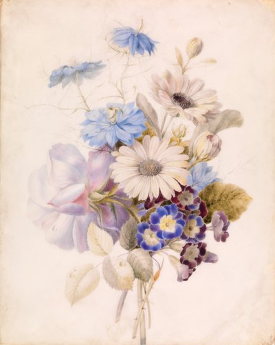 有雏菊的花朵 作者 未知艺术家