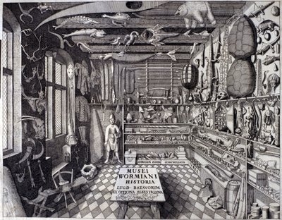 “Musei Wormiani Historia”的正面图展示了 Ole Worm 或 Olaus Wormius 的珍品柜的内部 作者 未知艺术家