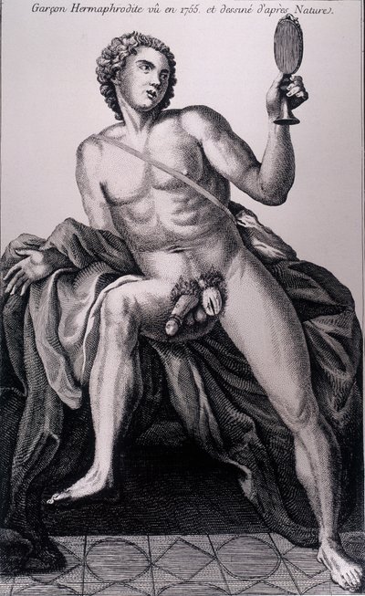 1755年看到的雌雄同体的男孩，取材于大自然。 作者 未知艺术家