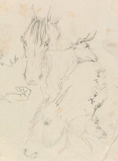 马、牛和人 作者 未知艺术家