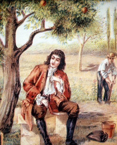 Isaac Newton (1642-1727), English mathematician, physicist and astronomer, finds the theory of gravitation by observing the fall of an apple tree, an illustration of the 19th century. 作者 未知艺术家