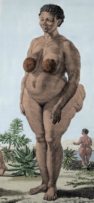 La Venus Hottentote, woman of broad Bochiman; (The Hottentot Venus,) engraving of 1815. 作者 未知艺术家