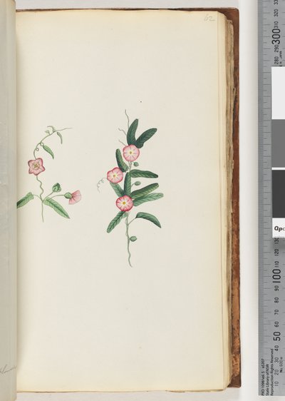 Page 62.身份不明的工厂 作者 未知艺术家