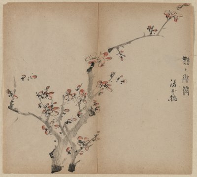 桃花 作者 未知艺术家