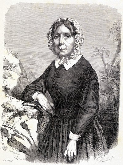 Portrait of Madame Ida Pfeiffer (1798-1858), Austrian traveler. 作者 未知艺术家