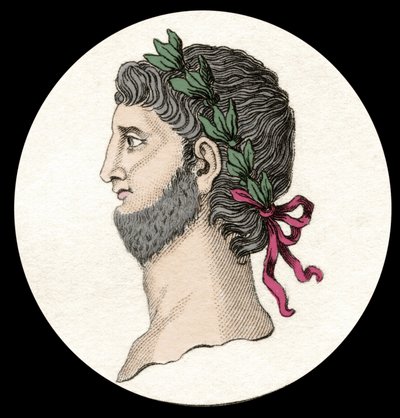 Nero Claudius Caesar Augustus Germanicus（公元 37-68 年）的肖像，罗马皇帝。 19 世纪的雕刻。 作者 未知艺术家