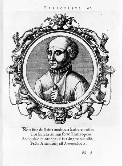 菲利普·奥雷奥勒斯 Theophrast Bombast von Hohenheim Paracelsus 的肖像 作者 未知艺术家