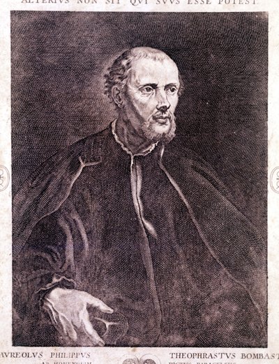 菲利普·奥雷奥勒斯 Theophrast Bombast von Hohenheim Paracelsus 的肖像 作者 未知艺术家