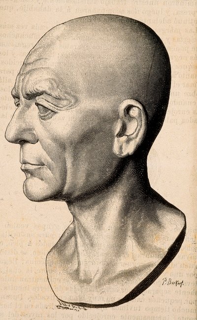 西庇阿（Scipio the African）的肖像 非洲人，罗马政治家（公元前 235-183 年）。 作者 未知艺术家