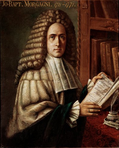 医生和解剖学家的肖像 (Giovanni Battista) (Giovan Battista) Giambattista Morgagni (1683-1771) (John the Baptist) 病理解剖学创始人 18 世纪意大利帕多瓦大学的匿名绘画 作者 未知艺术家