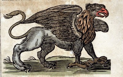 代表狮鹫、半鹰半狮的奇妙生物。 雕刻自 Athanasius Kircher (1601 - 1680)、耶稣会士、东方学家和学者的作品。 作者 未知艺术家