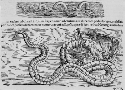 Sea snake, marine creature after Conrad (= Konrad) Gesner 作者 未知艺术家