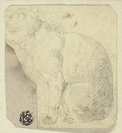 猫的坐姿 作者 未知艺术家