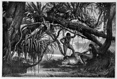 Tapir killed by Indians of Brazil - in “” Round the world”” 2nd semester 1874. 作者 未知艺术家