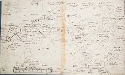 麝香草的描述》，约 1590 年（纸、亚麻布） 作者 未知艺术家