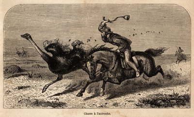 猎杀鸵鸟，根据照片绘制，以说明威廉-查尔斯-鲍德温1852至1860年间在非洲狩猎的故事。爱德华-沙尔东编辑的《世界之旅》中的版画 作者 未知艺术家