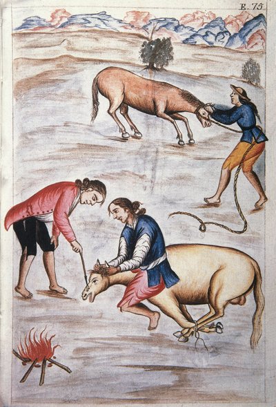 The red iron branding of a mare, from the book "Trujillo del Peru" or "Códice Martínez Compañón", by Baltazar Martinez Compañón y Bujanda, bishop of Trujillo (1782-1785) 作者 未知艺术家