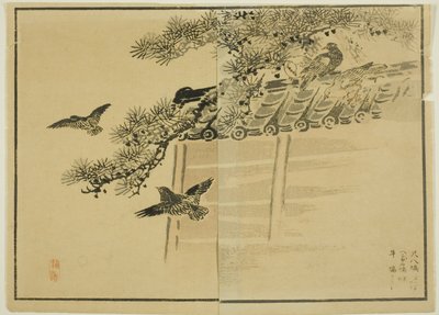墙边的三种鸟 作者 未知艺术家