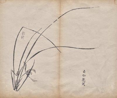 无标题 作者 未知艺术家