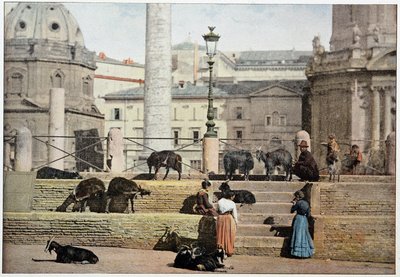 Ancient Rome: view of the Rome Forum. Italy, late 19th century. 作者 未知的摄影师