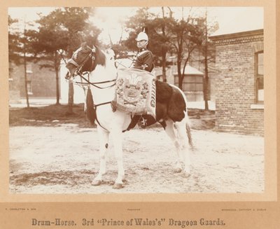 威尔士三世亲王的龙骑兵卫队的鼓马，大约1895年 作者 未知的摄影师