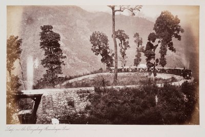 环大吉岭喜马拉雅线，约 1885 年（棕褐色照片） 作者 未知的摄影师